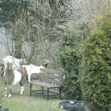 Charming In Morbach Germany With Terrace Thalfang