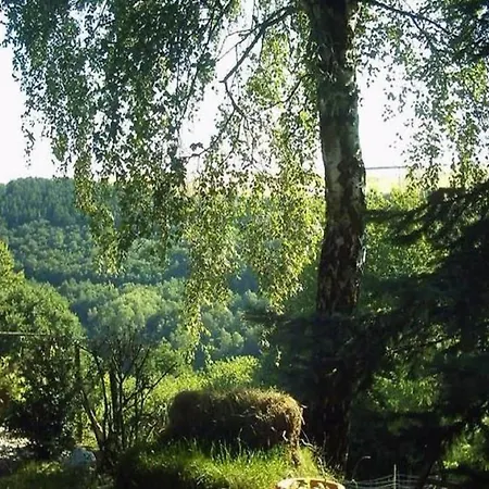 Charming In Morbach Germany With Terrace Apartment