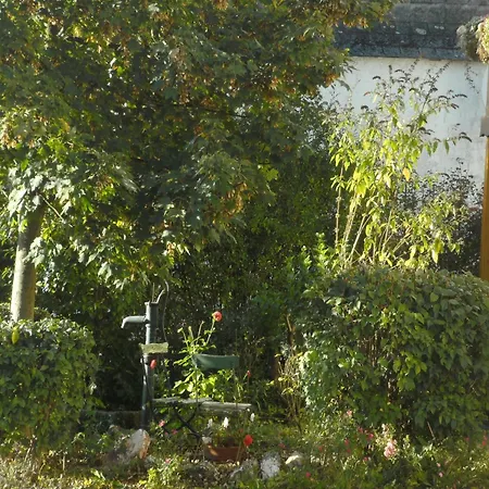 公寓 Charming In Morbach Germany With Terrace *